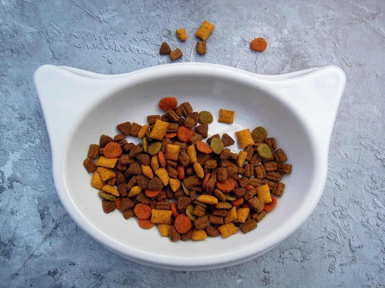 Is dry food healthy for my cat? 1