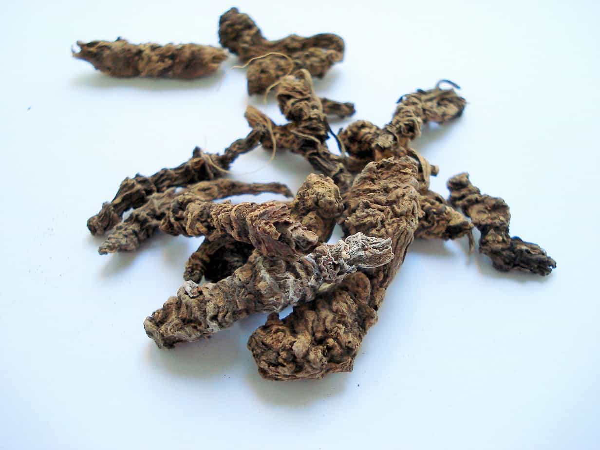 Are Valerian and catnip, bad for cats or can you give them safely? 1